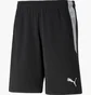 Шорты мужские Puma Teamliga Referee Shorts Black 705453-03