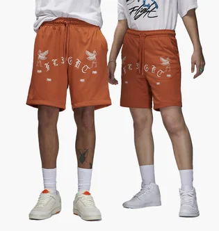 Шорти унісекс Air Jordan Artist Series By Umar Rashid Mesh Shorts Orange DX9720-812