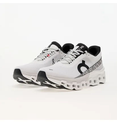 Кросівки чоловічі On M Cloudmonster 2 White 3ME10120664