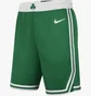 Шорты мужские Nike Nba Swingman Boston Celtics Icon Edition Green AJ5587-312