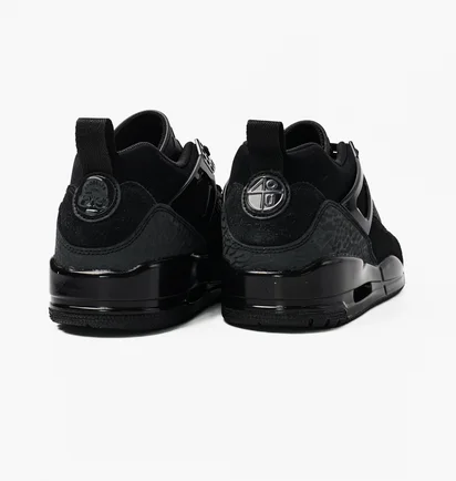 Кросівки чоловічі Air Jordan Spizike Low Black FQ1759-001