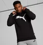 Худи мужское Puma Big Cat Logo Black 672712-01