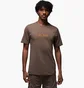 Футболка чоловіча Air Jordan Psg Ss Wordmark Tee Brown DZ2940-274