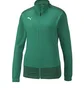 Олимпийка женская Puma Teamgoal 23 Training Polyesterjacket Green 656939-05