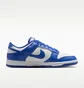Кросівки чоловічі Nike Dunk Low Blue/White HF5441-112