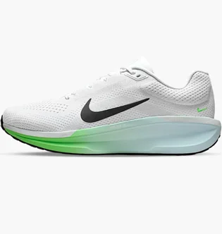 Кроссовки мужские Nike Air Winflo 11 White FJ9509-112