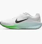 Кросівки чоловічі Nike Air Winflo 11 White FJ9509-112