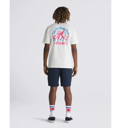 Шорты мужские Vans Range Nylon Loose 20 Shorts Blue VN000G6VLKZ