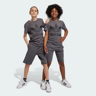 Шорти дитячі Adidas Adicolor Grey IJ9731