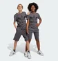 Шорты детские Adidas Adicolor Grey IJ9731