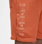 Шорты мужские Air Jordan Essentials Shorts Orange DX9675-812
