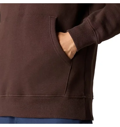 Худи мужское The North Face Drew Peak Hoodie Brown NF00AHJYI0I
