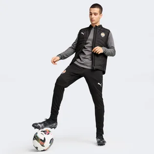 Жилетка мужская Puma Fcsd Gilet Black 777860-06