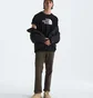 Футболка мужская The North Face Evolution Half Dome Black NF0A8B6JKY4