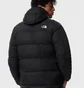 Пуховик чоловічий The North Face Diablo Black NF0A4M9LKX7