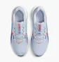 Кросівки чоловічі Nike Downshifter 13 Light Blue FD6454-012