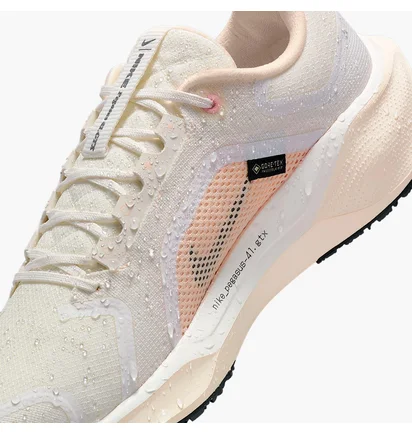 Кросівки жіночі Nike W Pegasus 41 Gore Tex Beige FQ1357-100