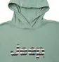 Худи мужское Jeep Hooded Cropped Sweatshirt Striped Print Turquoise O102609-E854
