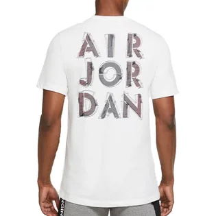 Футболка мужская Air Jordan Dfct Air Perf Gfx Crew White CZ8087-100
