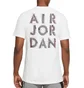 Футболка мужская Air Jordan Dfct Air Perf Gfx Crew White CZ8087-100