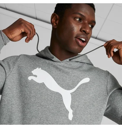 Худи мужское Puma Big Cat Logo Grey 672712-03