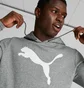 Худи мужское Puma Big Cat Logo Grey 672712-03