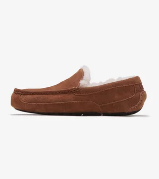 Тапочки мужские Ugg Ascot Brown 1101110-Che