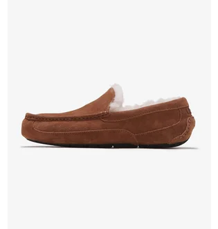 Тапочки чоловічі Ugg Ascot Brown 1101110-Che