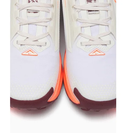 Кроссовки мужские Nike Pegasus Trail 5 Gtx White FQ0908-104