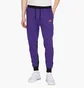 Штаны мужские Nike Tech Fleece Joggers Violet HF4433-504