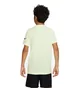 Футболка детская Nike Rafa Green DX9535-720
