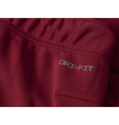 Штани чоловічі Air Jordan Dri-Fit Air MenS Pants Bordo DQ7890-613