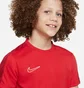 Футболка детская Nike Dri-Fit Academy 23 Red DR1343-657