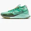 Кроссовки мужские Nike Pegasus Trail 4 Gore-Tex Turquoise DJ7926-301
