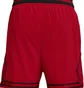 Шорты мужские Air Jordan Sport Dri-Fit Red FQ2989-687