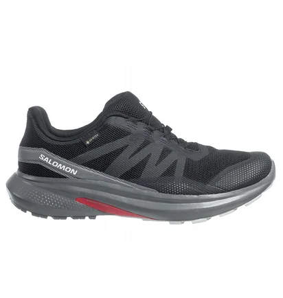 Кроссовки мужские Salomon Hypulse Gtx Black 415959