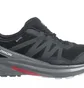 Кроссовки мужские Salomon Hypulse Gtx Black 415959