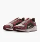 Кросівки жіночі Nike Pegasus 41 Gore Tex Bordo FQ1357-200