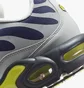 Кросівки чоловічі Nike Air Max Plus Grey/Violet FZ4622-001