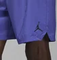 Шорты мужские Air Jordan Dri-Fit Sport Violet Dv9789-430