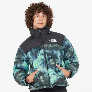 Куртка чоловіча The North Face Printed 1996 Retro Nuptse Jacket Green NF0A5IX4957