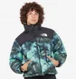 Куртка чоловіча The North Face Printed 1996 Retro Nuptse Jacket Green NF0A5IX4957