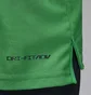Поло мужское Air Jordan Dri-Fit Adv Sport Green DZ0548-310