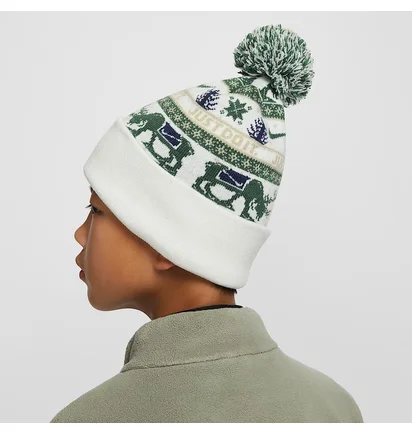 Шапка детская Nike Peak Holiday Beanie White/Green HV7025-133