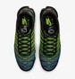 Кроссовки мужские Nike Air Max Plus Blue/Green FZ4628-001