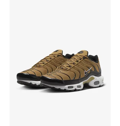 Кросівки чоловічі Nike Air Max Plus Brown DM0032-700
