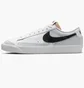 Кросівки чоловічі Nike Blazer Low 77 Vintage White DZ3480-100