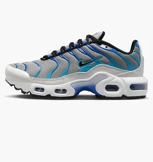 Кроссовки детские Nike Air Max Plus Grey CD0609-019