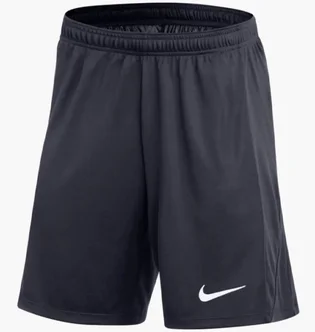 Шорты мужские Nike Dri-Fit Academy Pro Blue FD7610-451