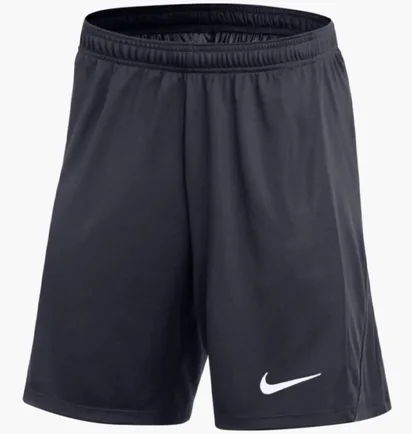 Шорты мужские Nike Dri-Fit Academy Pro Blue FD7610-451